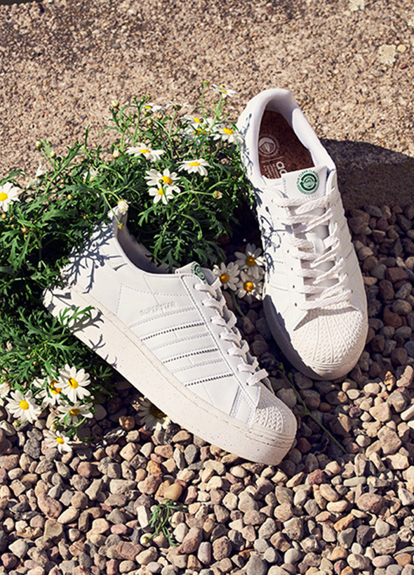 Superstar Bold